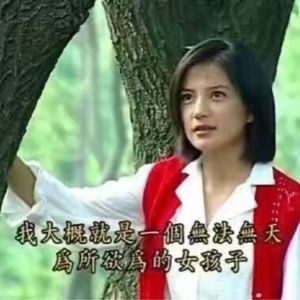 危地马拉的大食蚁兽-
