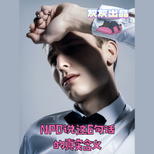 NPD说这6句话的真实含义·魅惑假面具后真相