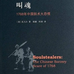 018 孔飞力《叫魂:1768年中国妖术大恐慌》—权利的结构性矛盾、信息不对称以及群体性恐慌的演化