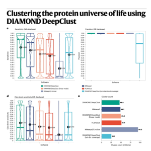 796-DIAMOND DeepClust for Protein Clustering