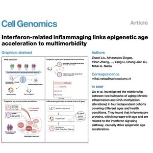 1088-Interferon-inflammaging links epigenetic age