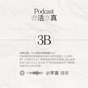 S03 关爱创伤 拥抱自我疗愈-B