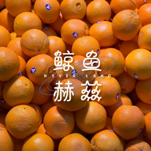 Vol.248 脐橙、血橙、冰糖橙……这些橙子到底哪好吃?