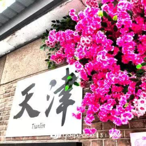 EP13 粉色漫游指南：在天津海棠花下，我们聊Color walk、街拍与胶片回忆