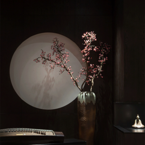 4、黄帝内经在国学中的地位