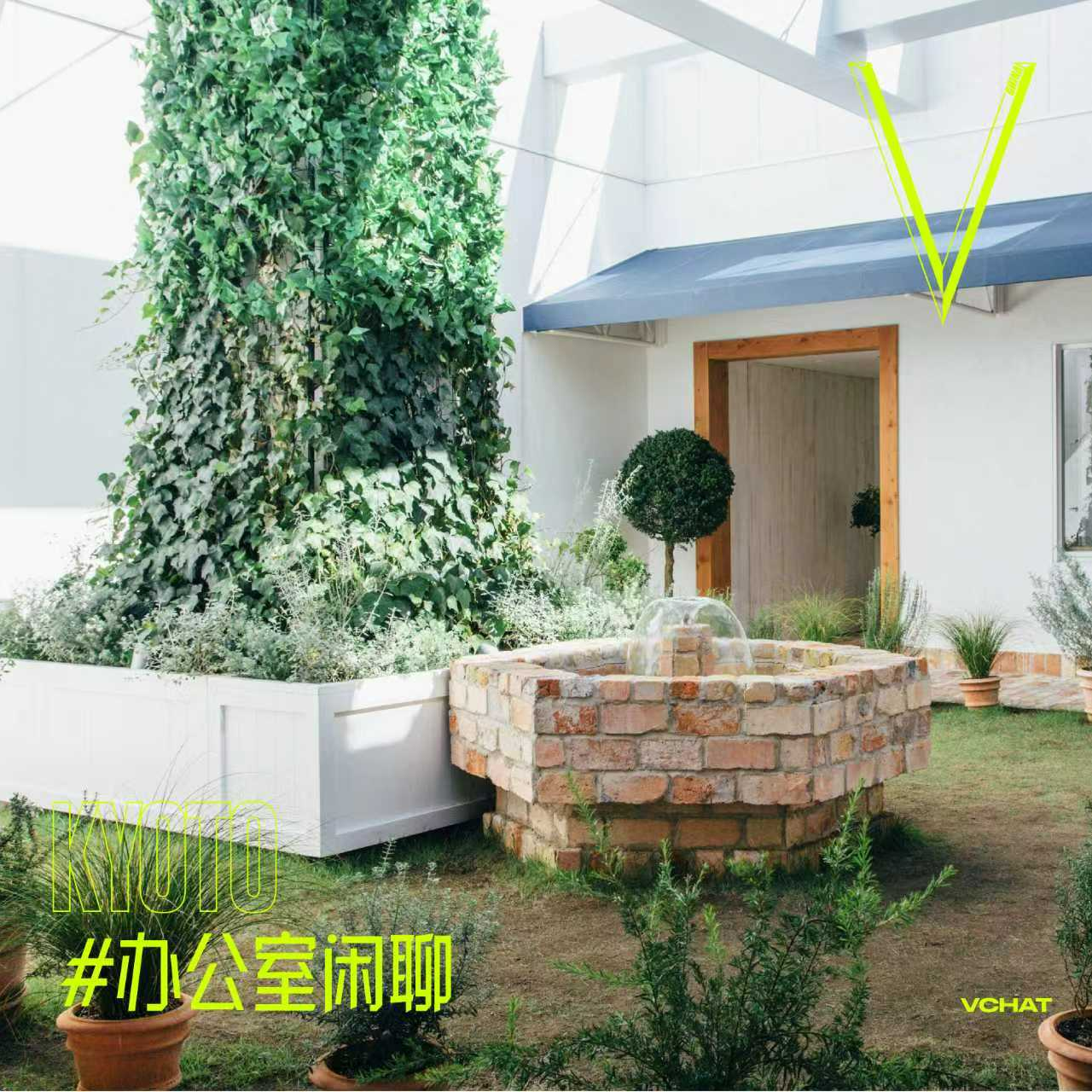 V. 50 | 京都戒掉了我的旅游打卡焦虑#办公室闲聊