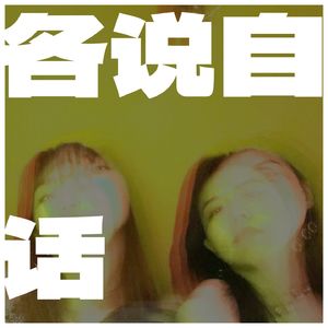 各说自话