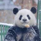 张露露lulu