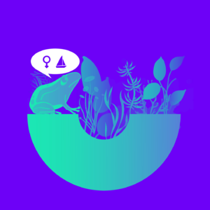 127 对话小说家林棹：“当我做蛙已经做了一年的时候”