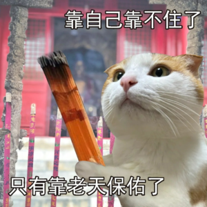 02. 九紫离火运，除了玩赛博玄学，我们还可以做些什么？