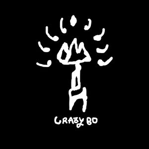 光波CrazyBo