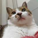 sherry烙