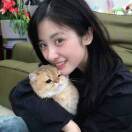 猫系_CvtB