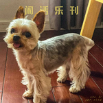 今夜立秋，你要陪伴爱犬一起欣赏火烧云丨闲话乐刊Vol.31-②