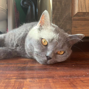 #47热点追踪「网络热搜背后真相与假象」