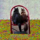 不备注不嗻是谁