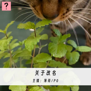 XXX.关于改名的一些讨论