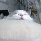 孔祥宇在这里不是解说