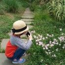 云在在恰巴塔