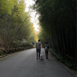 对于爱的误解--为什么你爱而不得