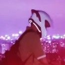 汪松