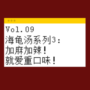 Vol.09 海龟汤系列 3：加麻加辣！就爱重口味！