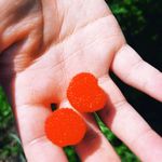 爱吃树莓的喵酱