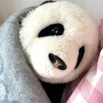 备忘录批评家小某