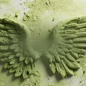 Vol.45 金融研究生放弃银行高薪，她用12年深耕有机事业