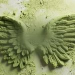 Vol.45 金融研究生放弃银行高薪，她用12年深耕有机事业