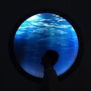 蒋佳琦
