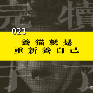 023-猫好,人坏:没有犯错误的小猫,只有不懂事的主人