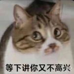 格雷酥