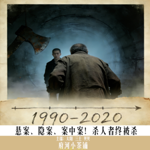 悬案、隐案、案中案！杀人者终被杀