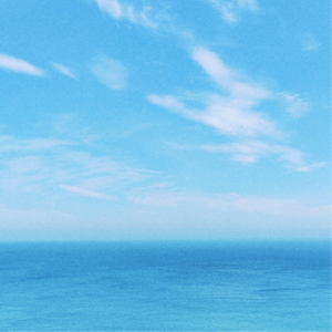 Vol.067｜水逆下的同学聚会☞处女、金牛、狮子的三种价值观