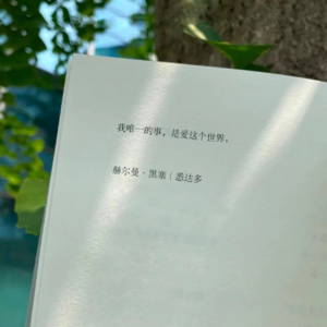 014 悉达多: 我唯一的事，是爱这个世界