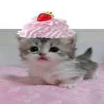 小玉米ouo