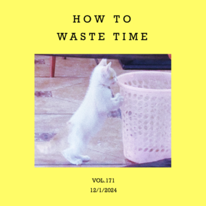 vol.171：做一个“浪费时间”的行家！