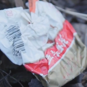 E17:荒馆遗烟-集安廿年悬案