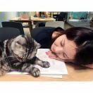 我就说我就说略略略