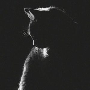 podcaster-avatar