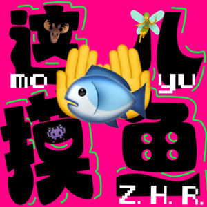 ZHR摸鱼(这儿摸鱼)