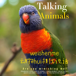 The Little-Known Reason Animals Can Copy Human Sounds