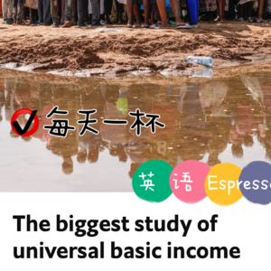 【194】普遍基本收入的研究