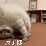 玛利亚快乐唾沫