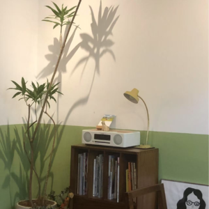 30.Playlist｜一些音符里的普鲁斯特效应