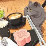 英短不断应