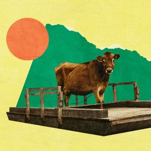 088 十佳榜单泛滥的时代，我们该关注什么？（上）