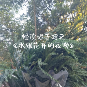 在人生的黑夜里，谁曾为你点亮永不黯淡一盏心灯？——读书分享会第1期·上