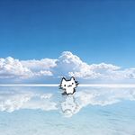 翻Y
